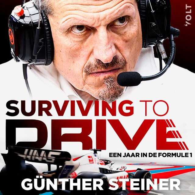 Boekomslag van Surviving to drive