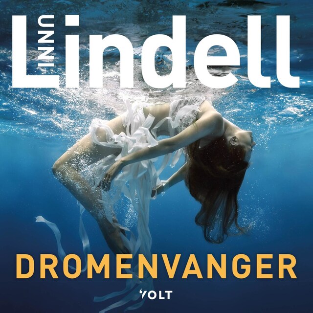 Book cover for Dromenvanger