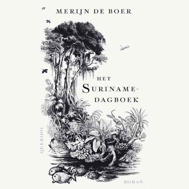 Book cover for Het Surinamedagboek