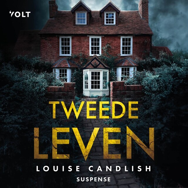 Book cover for Tweede leven