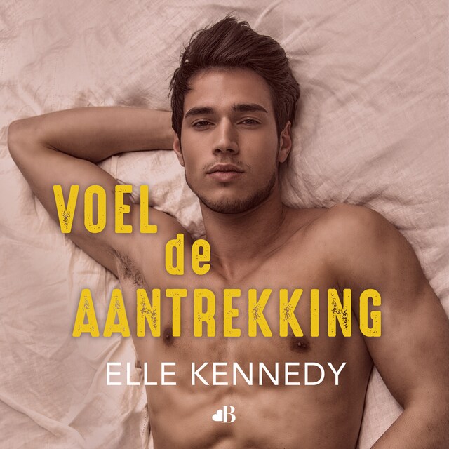 Book cover for Voel de aantrekking