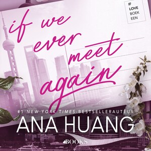 If we ever meet again - luisterboek