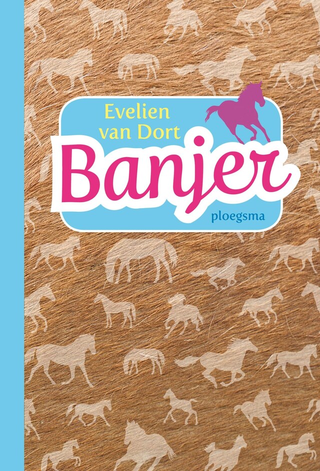 Copertina del libro per Banjer