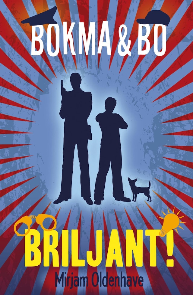 Book cover for Briljant!
