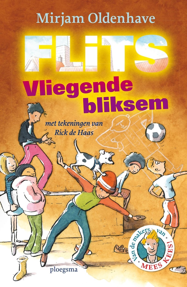 Book cover for Flits