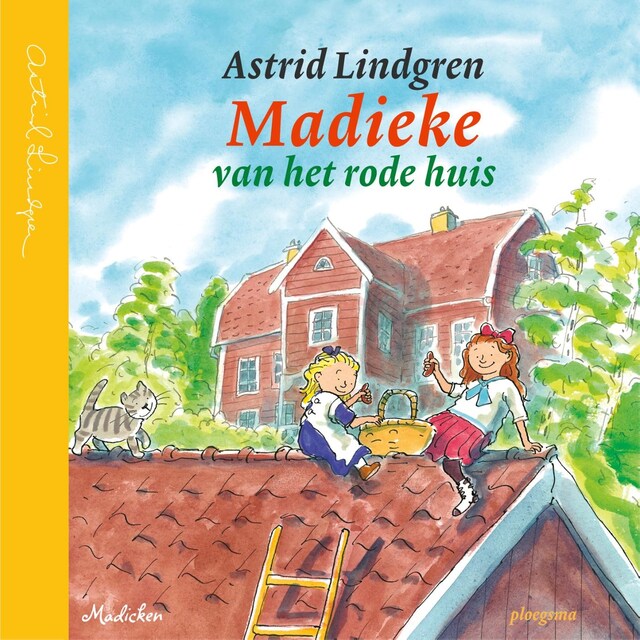 Book cover for Madieke van het rode huis