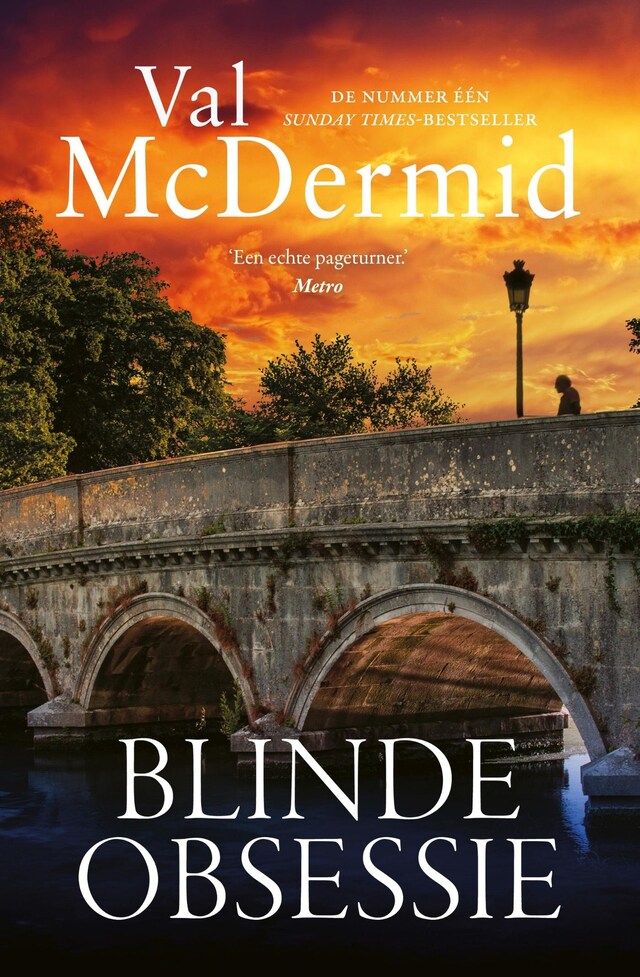 Book cover for Blinde obsessie