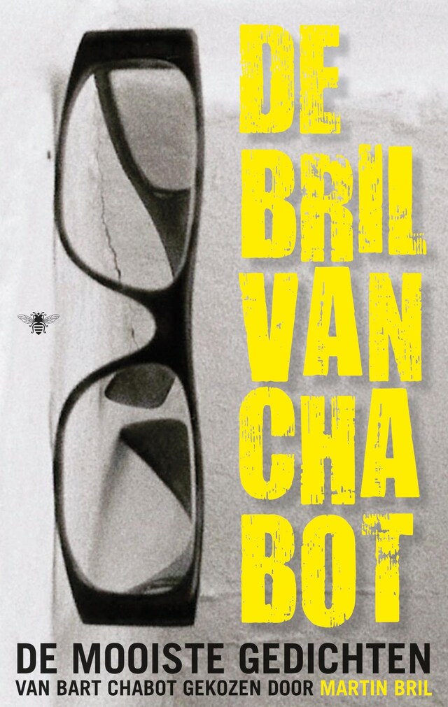 Copertina del libro per De Bril van Chabot