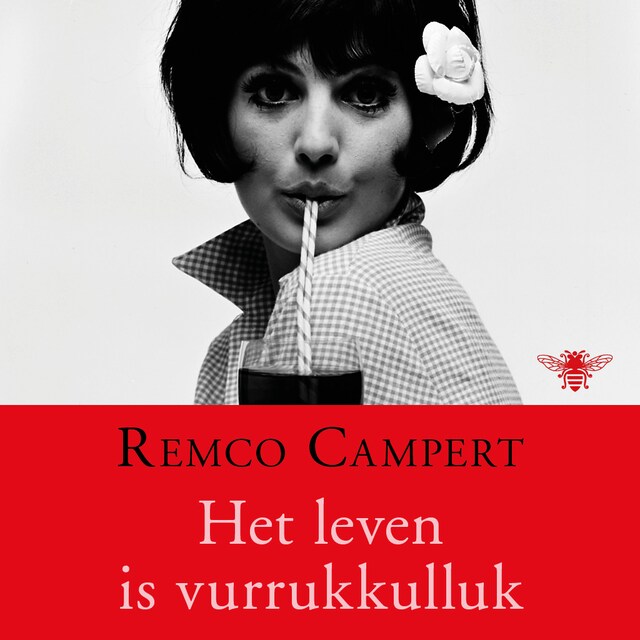 Book cover for Het leven is vurrukkulluk