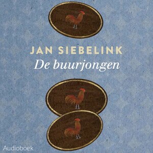 De buurjongen - luisterboek