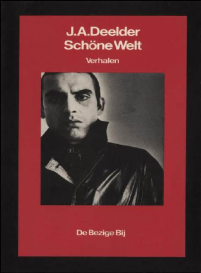Portada de libro para Schöne Welt