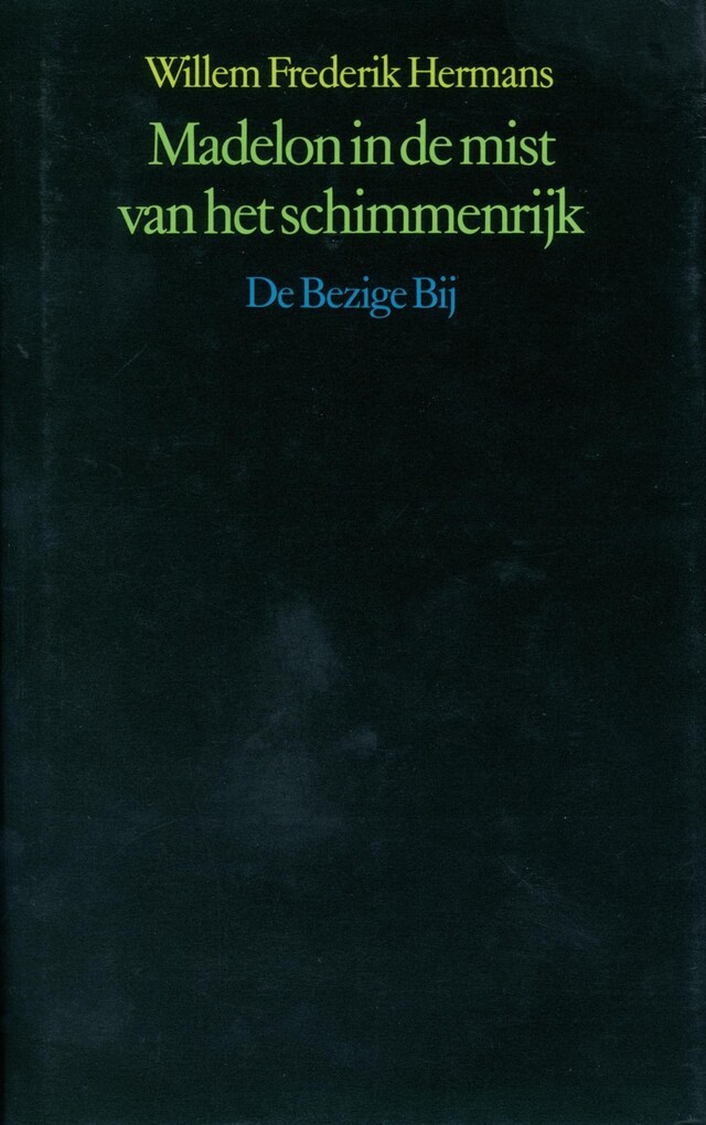 Book cover for Madelon in de mist van het schimmenrijk