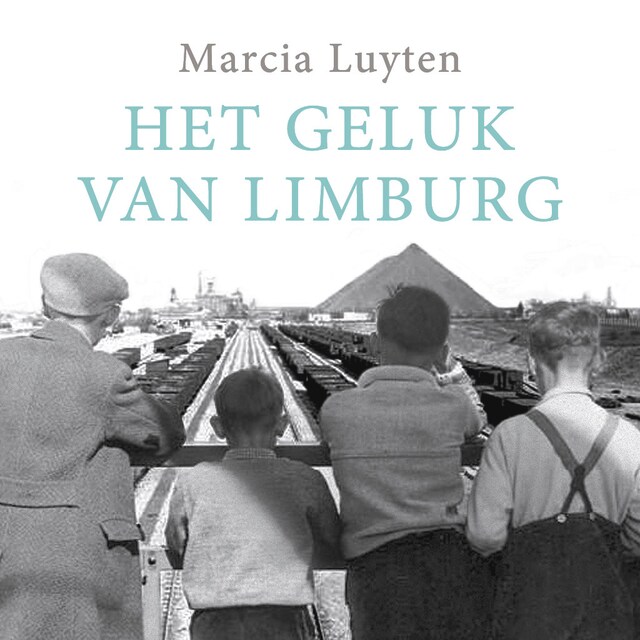 Copertina del libro per Het geluk van Limburg