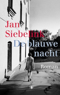 De blauwe nacht