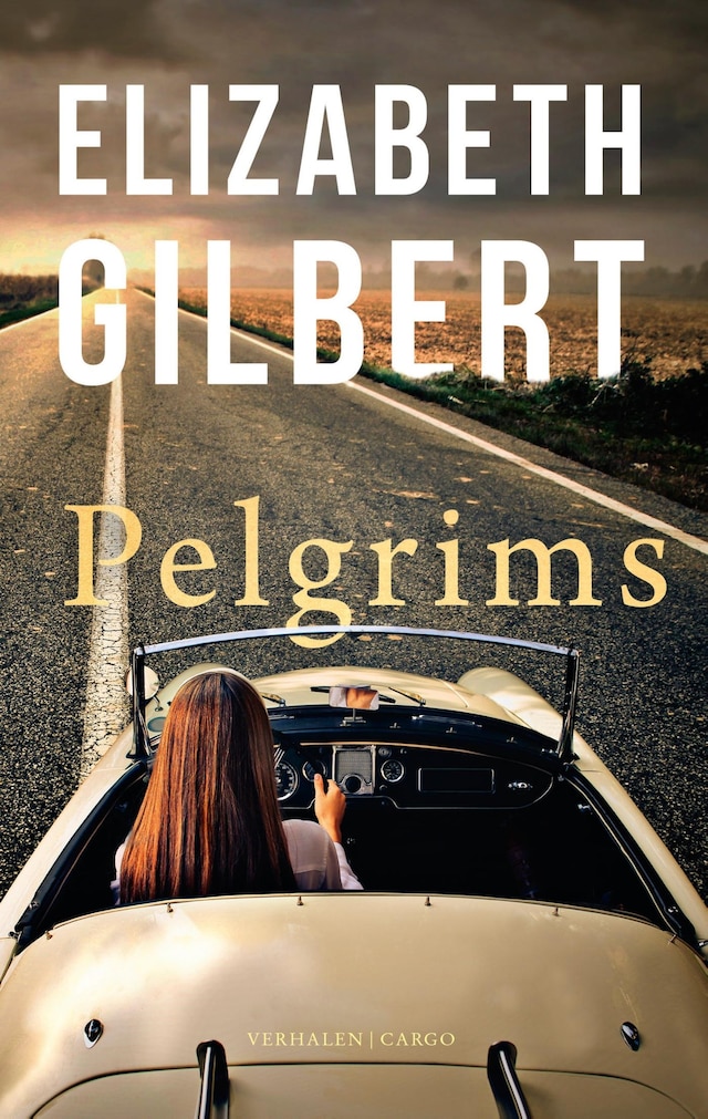 Book cover for Pelgrims