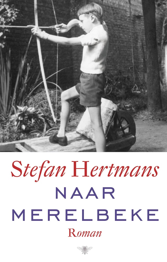 Book cover for Naar Merelbeke