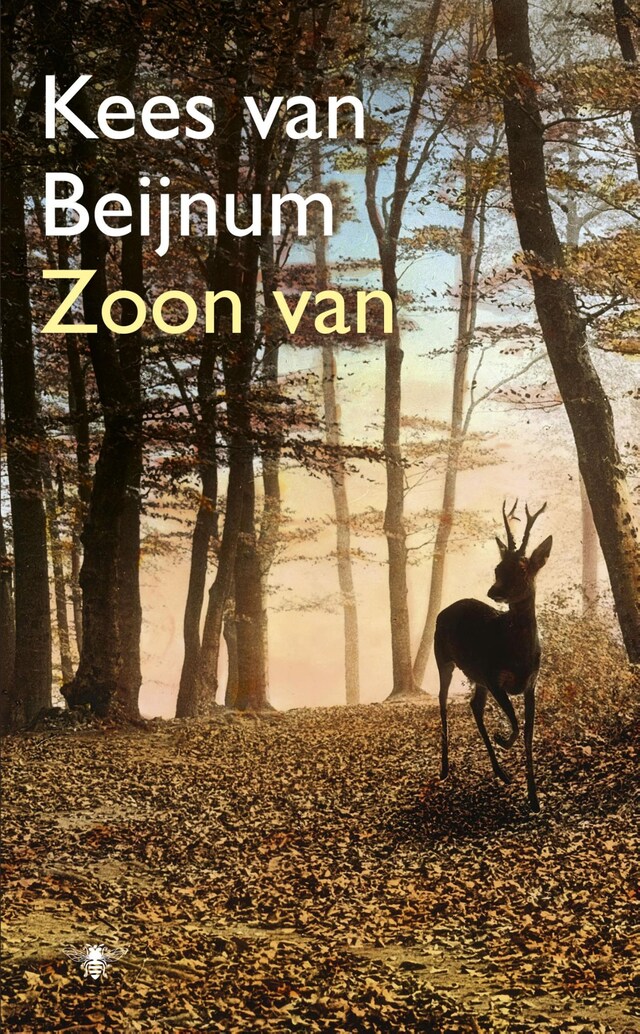 Boekomslag van Zoon van