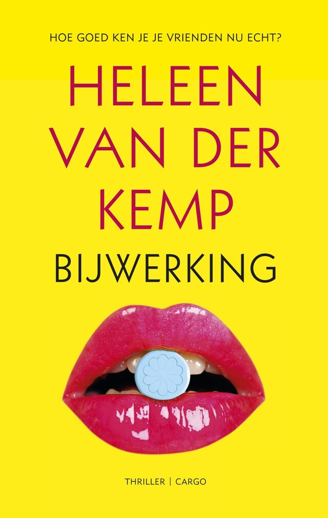 Couverture de livre pour Bijwerking