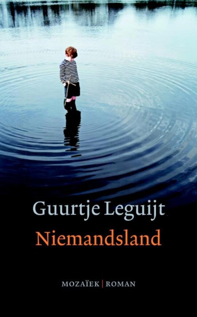 Copertina del libro per Niemandsland