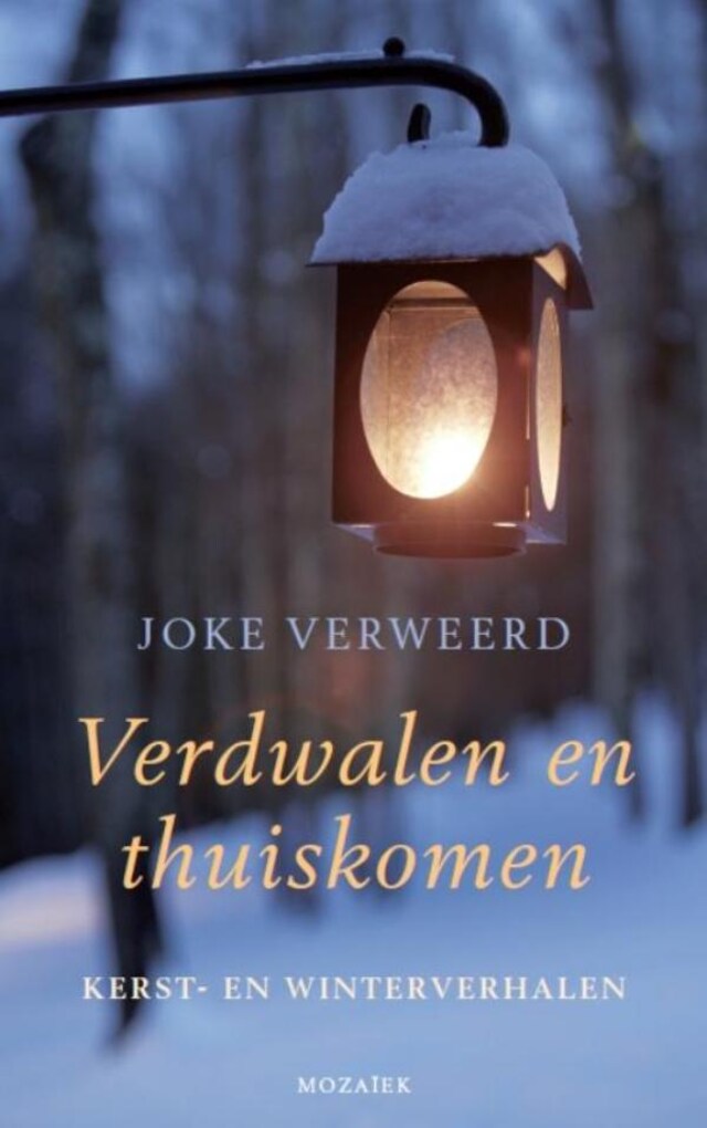 Copertina del libro per Verdwalen en thuiskomen