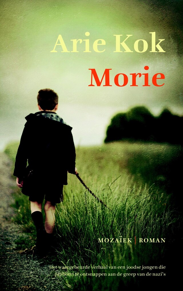 Boekomslag van Morie