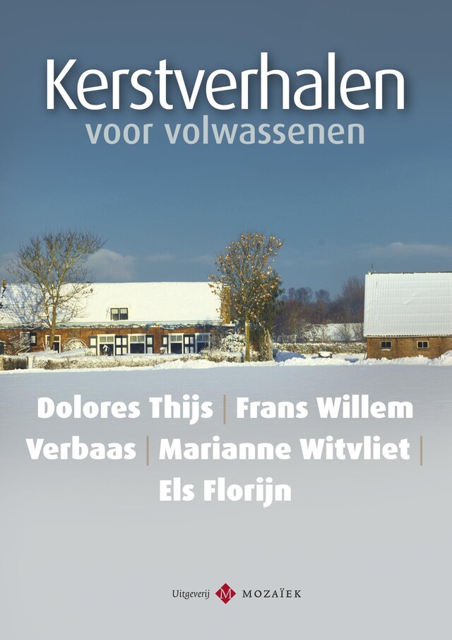 Book cover for Kerstverhalen voor volwassenen / 2