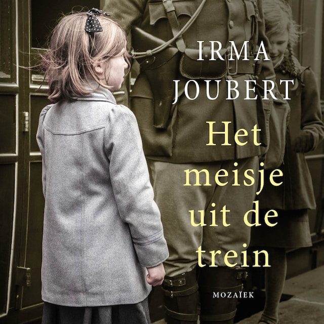 Book cover for Het meisje uit de trein