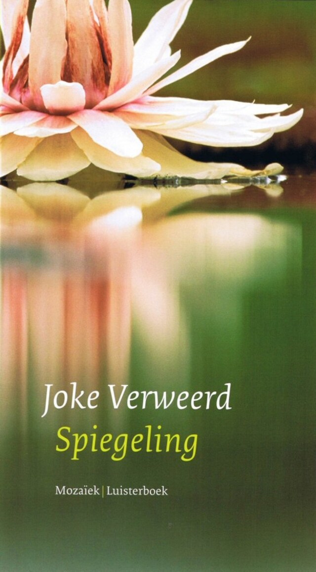 Book cover for Spiegeling