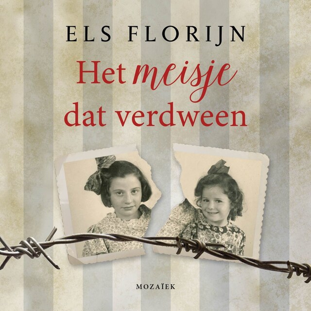 Copertina del libro per Het meisje dat verdween