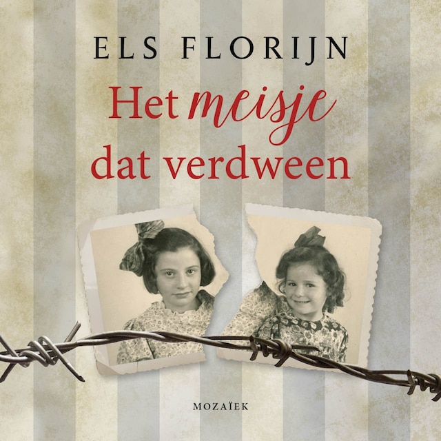 Book cover for Het meisje dat verdween