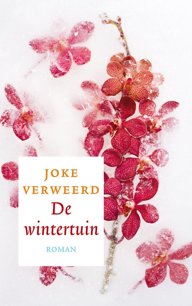 Book cover for De wintertuin