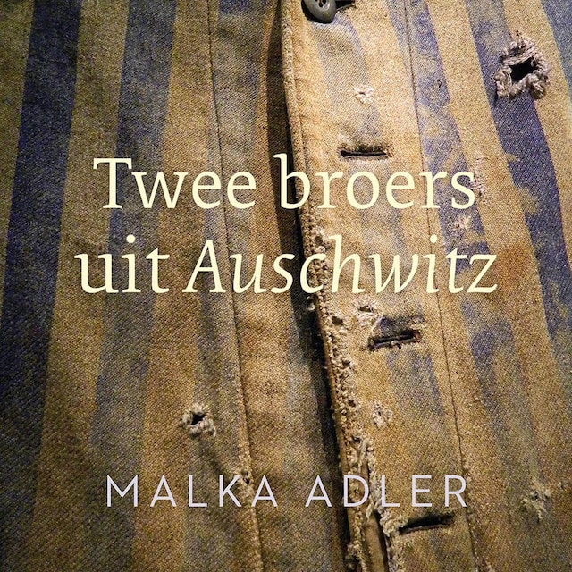 Book cover for Twee broers uit Auschwitz