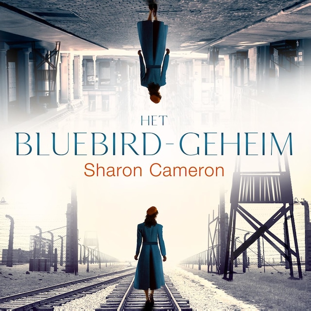 Okładka książki dla Het Bluebird geheim