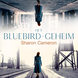 Het Bluebird geheim - luisterboek