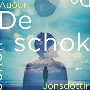 De schok - luisterboek
