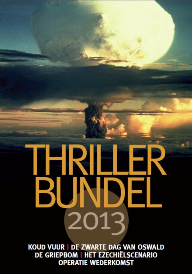 Book cover for Thrillerbundel 2013