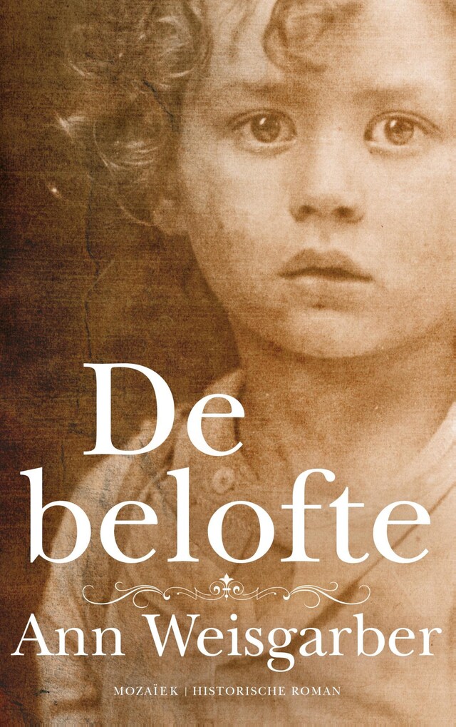 Copertina del libro per De belofte