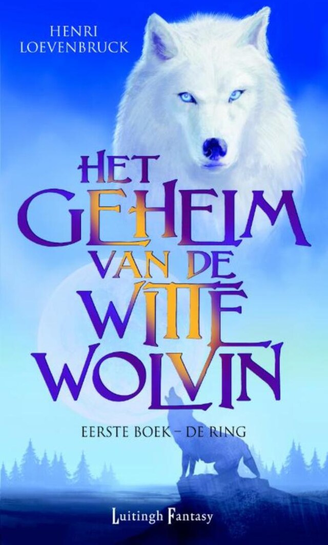 Book cover for De ring