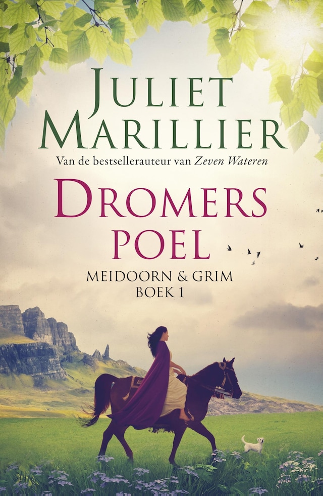 Book cover for Dromerspoel