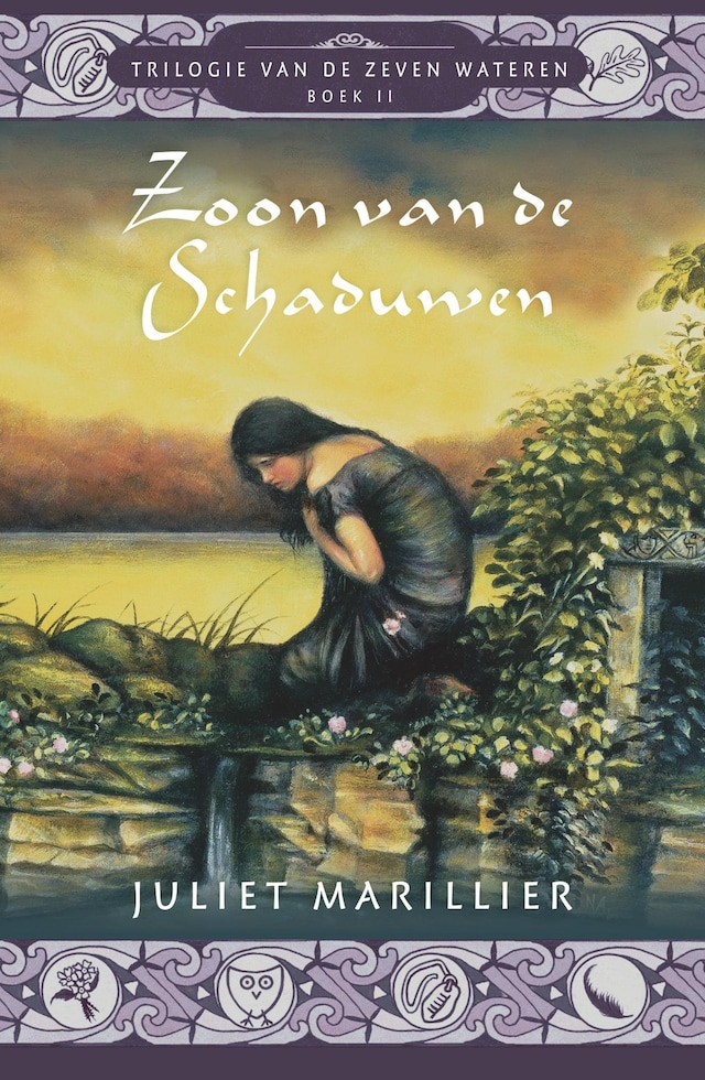 Book cover for Zoon van de schaduwen