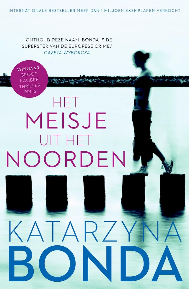 Book cover for Het meisje uit het noorden