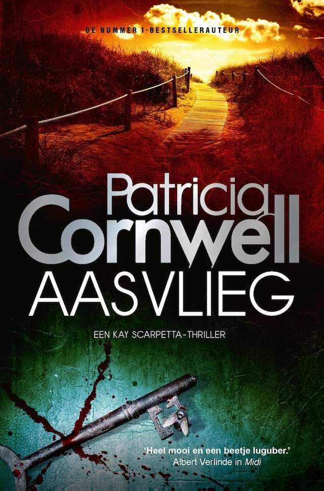 Book cover for Aasvlieg
