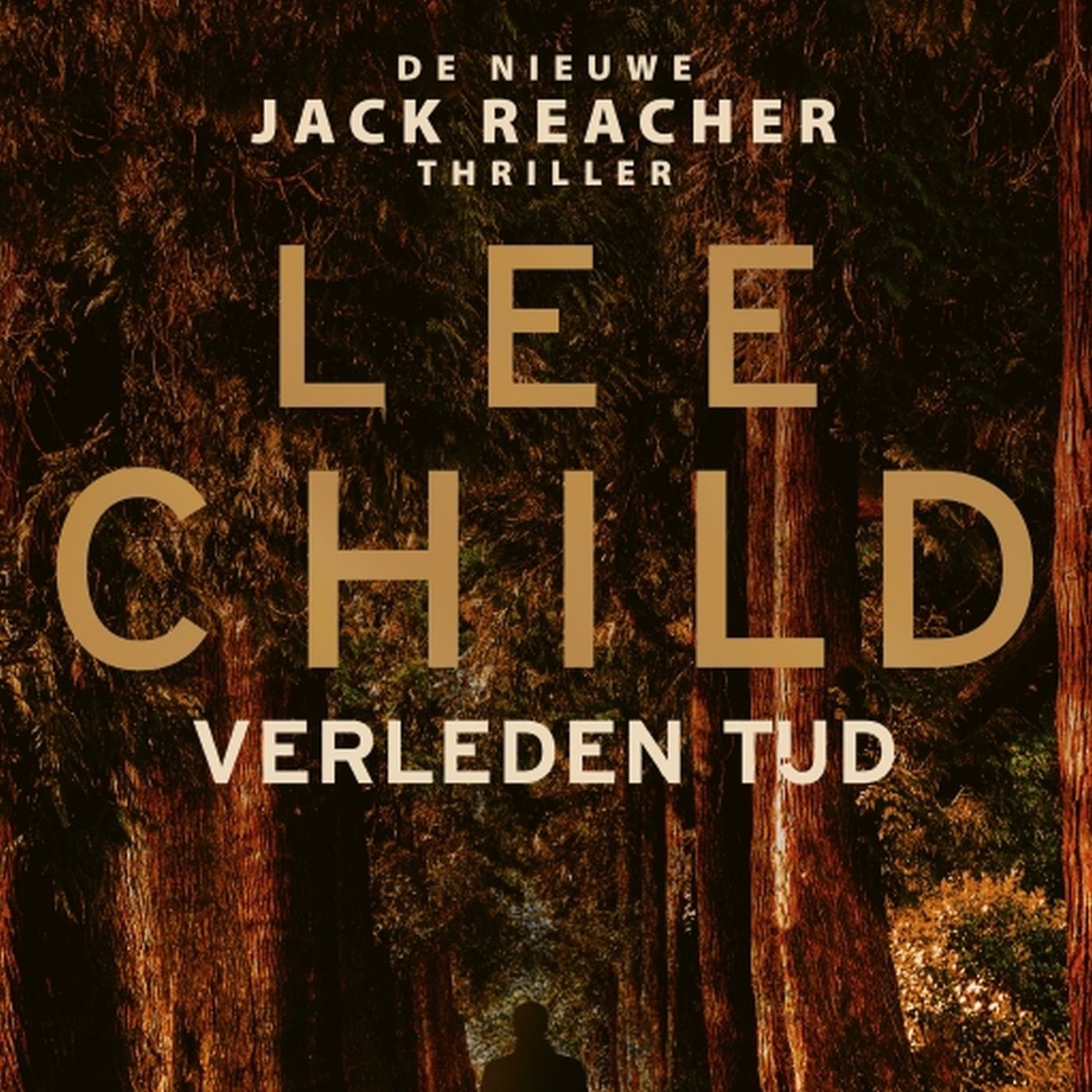 Verleden tijd - luisterboek