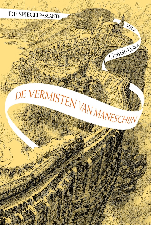 Copertina del libro per De vermisten van Maneschijn