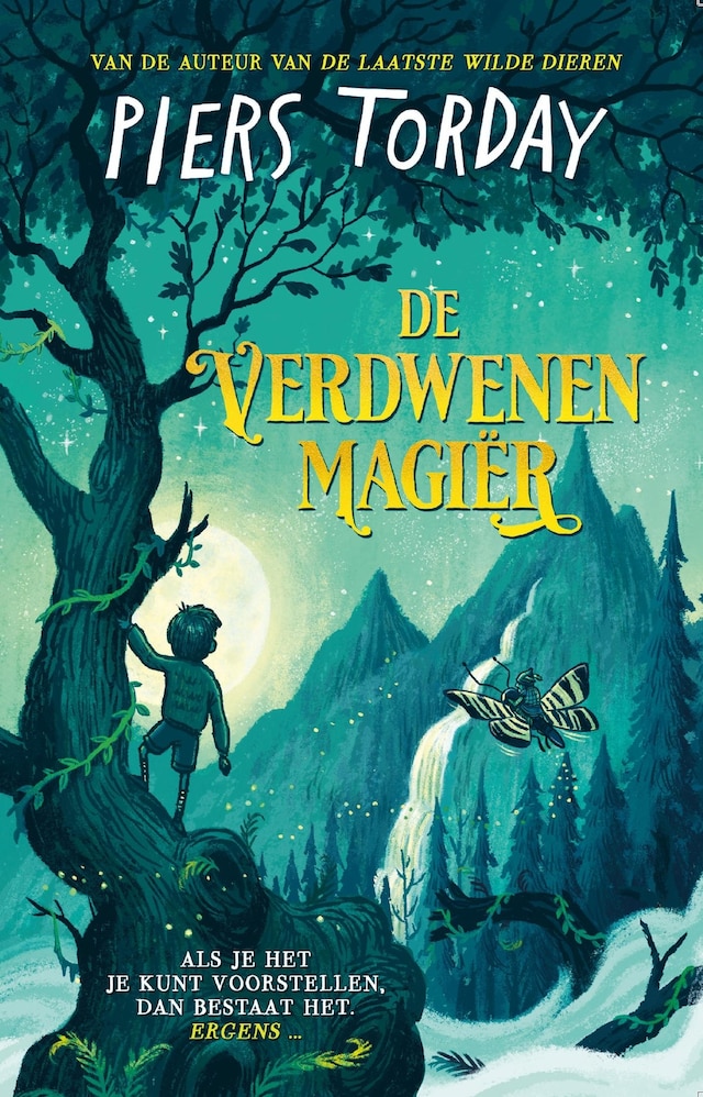 Book cover for De verdwenen magiër
