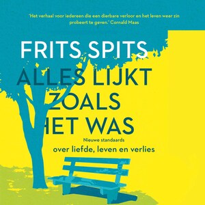 Alles lijkt zoals het was - luisterboek