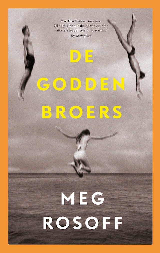 Book cover for De Godden broers