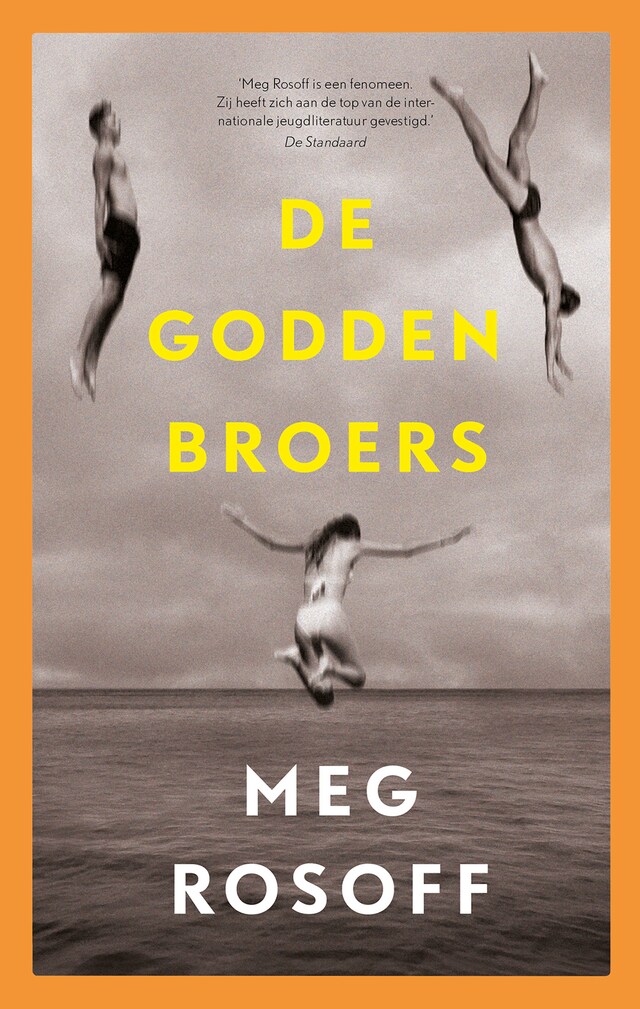 Boekomslag van De Godden broers