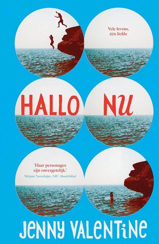Book cover for Hallo Nu