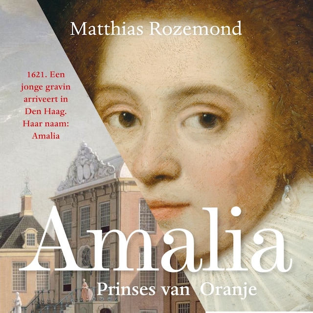 Copertina del libro per Amalia